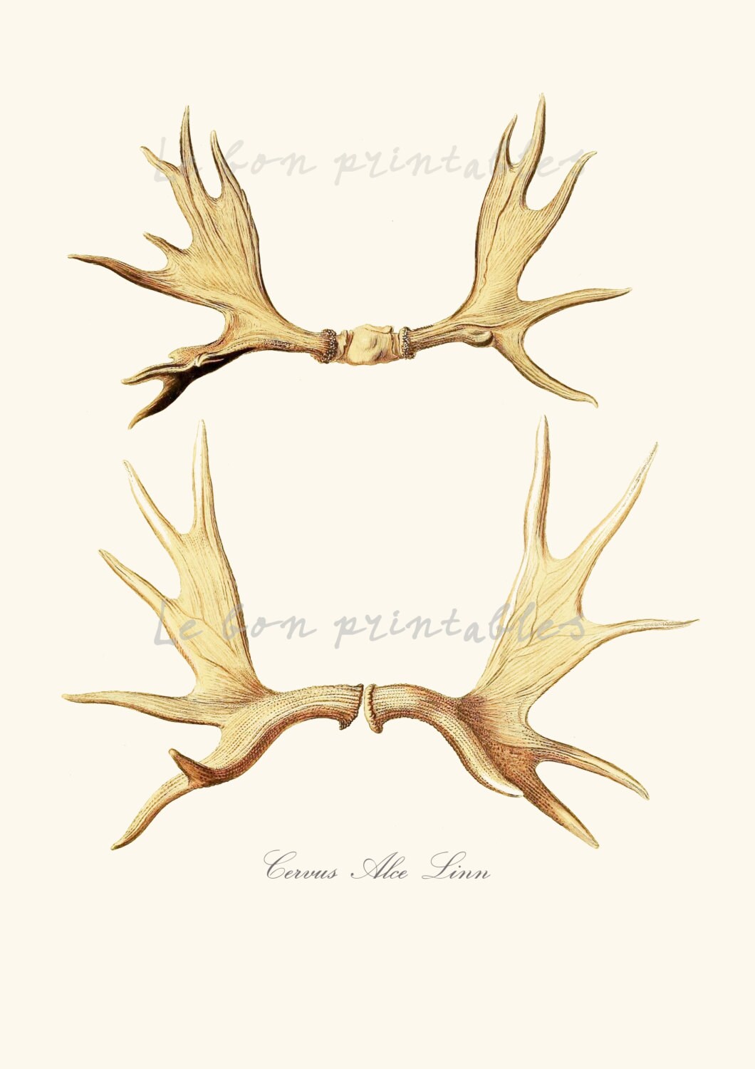 Moose Antlers Christmas Digital Print - Etsy