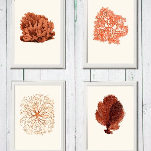 Orange Pink Coral Red Pink 4 Art Sea Vintage Printables - Etsy