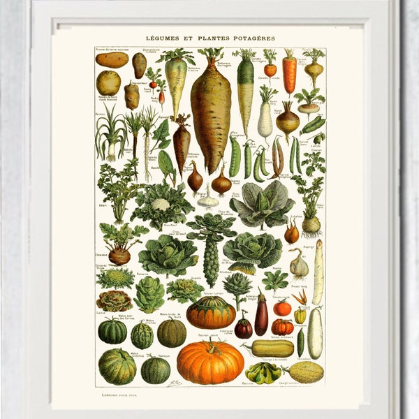 Kitchen art vintage vegetables food overview printable digital file INSTANT DOWNLOAD