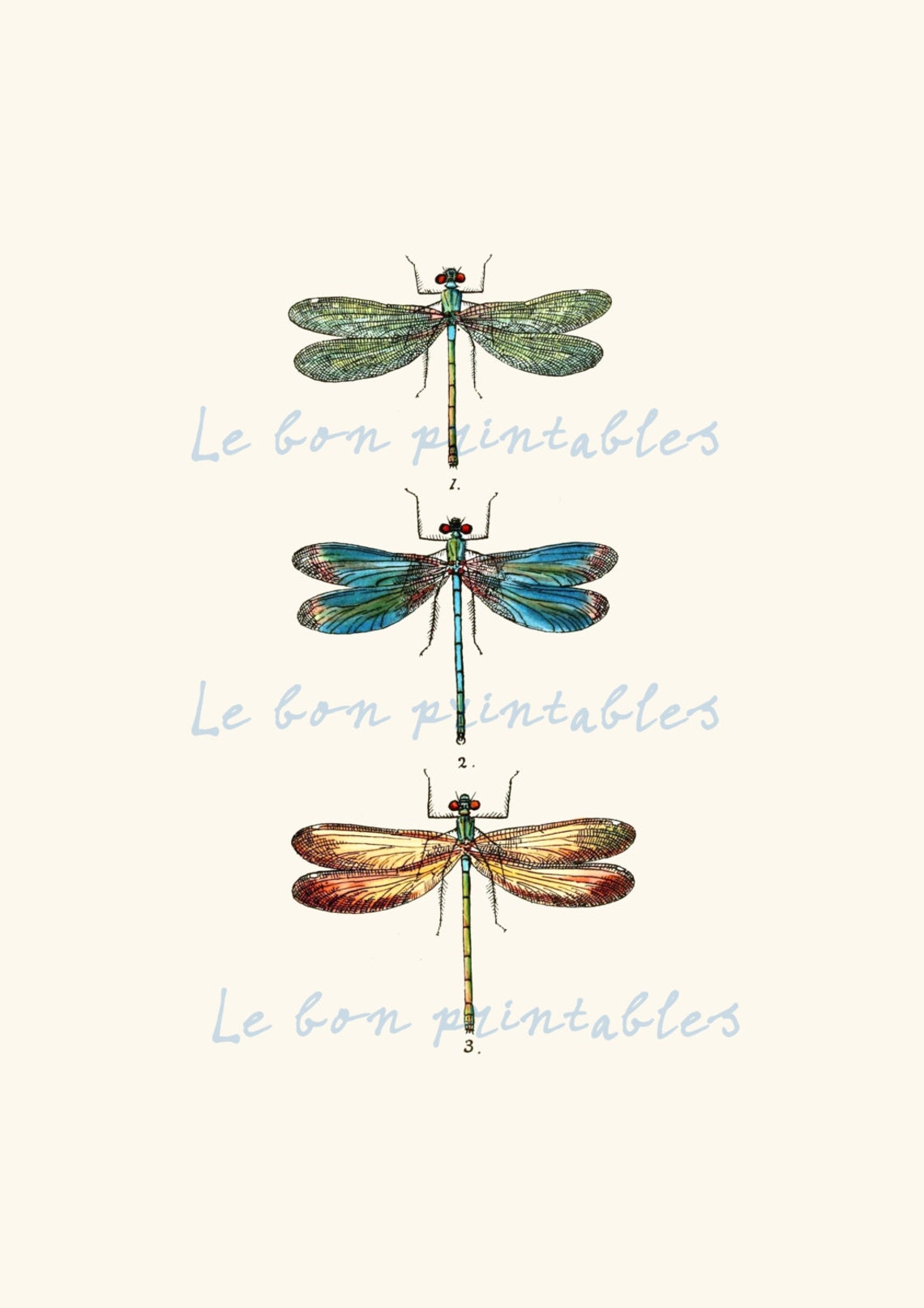 Vintage Dragonfly Instant Download Printable Art Jpeg 8,5 X 11 Inch - Etsy