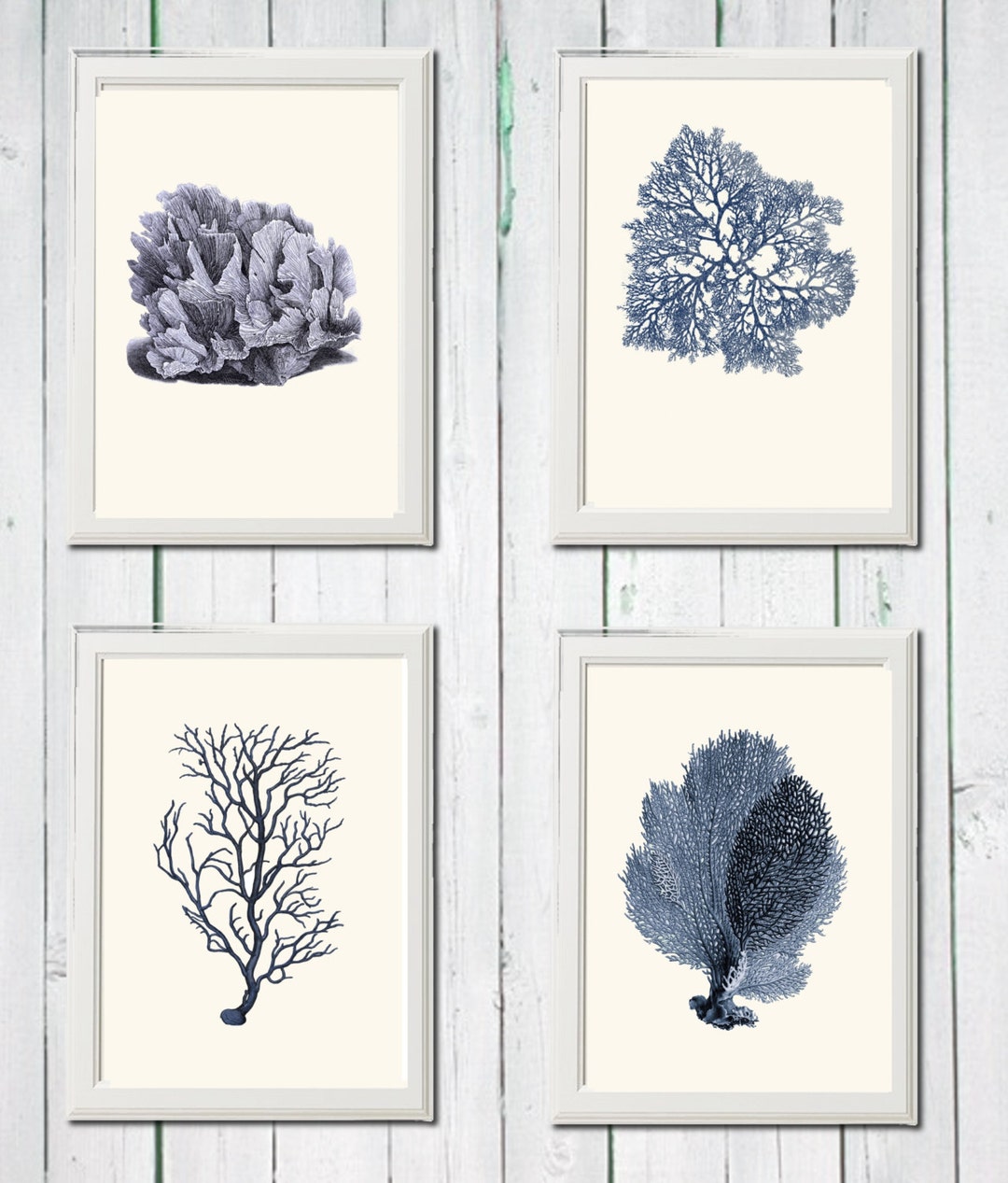 Navy Blue Coral Wall Art Set – Fisherman Aesthetic Vintage Coastal ...