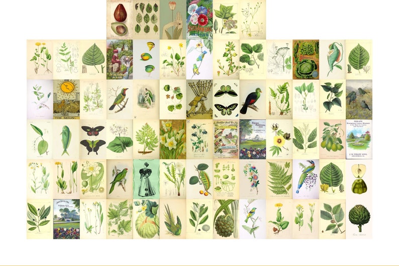 Collage kit fotomuur groen geel 70 botanische prints 10x15 cm download afbeelding 1