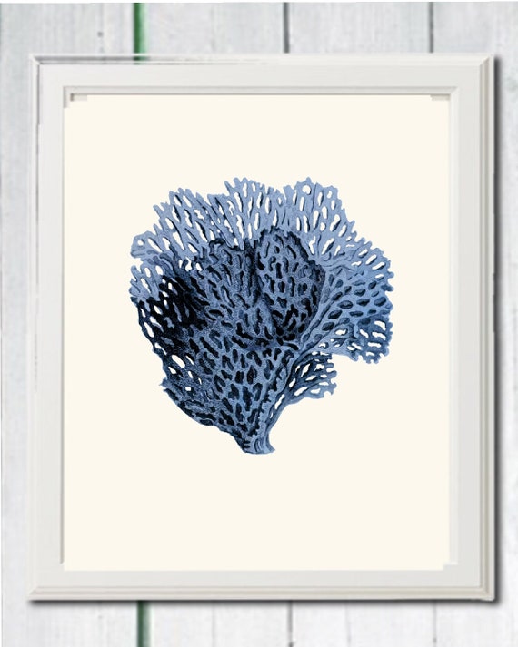 Vintage sea fan coral instant download printable art jpeg | Etsy