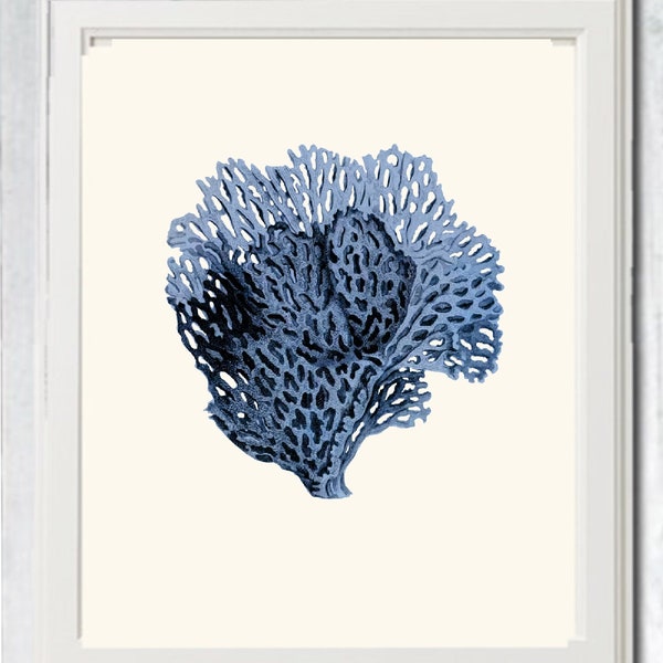 Vintage sea fan coral instant download printable art jpeg