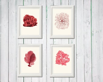 Coral coral red pink 4 art sea vintage printables digital file INSTANT DOWNLOAD