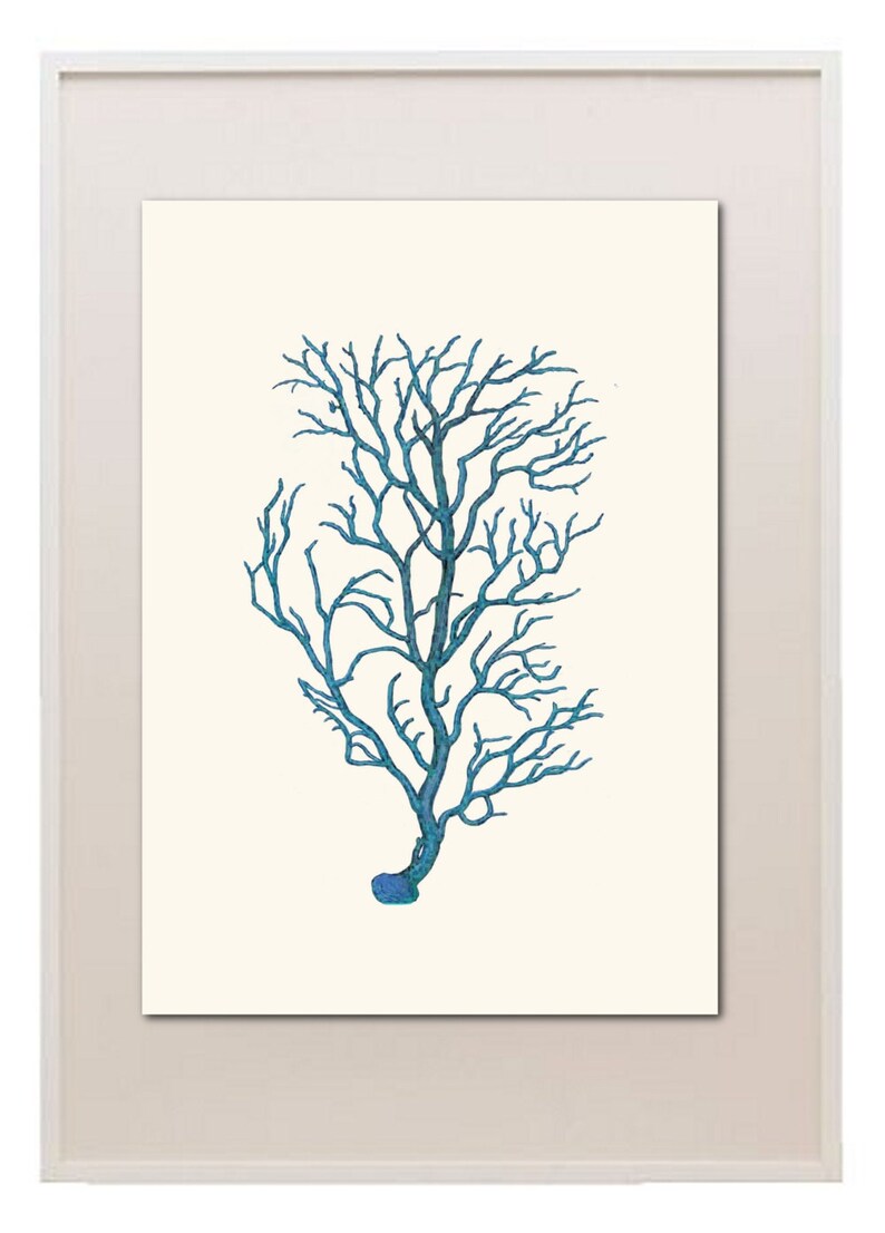 Vintage Sea Coral Instant Download Printable Art Png and Jpeg Etsy