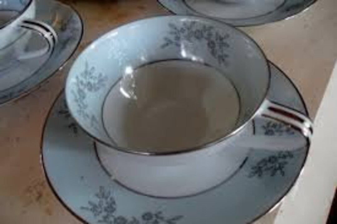 Noritake Blueridge 5858 China Dinner Service for 4 6 Pc Setting 24 Pcs