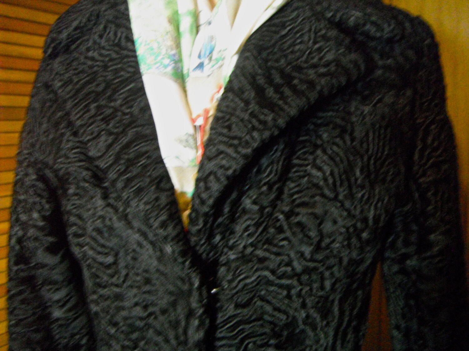 Tailored Persian Lamb Coat - Etsy