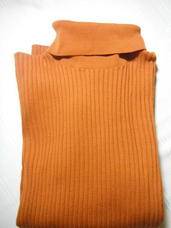 Vintage Men's Schiatti & C Turtleneck - image 1