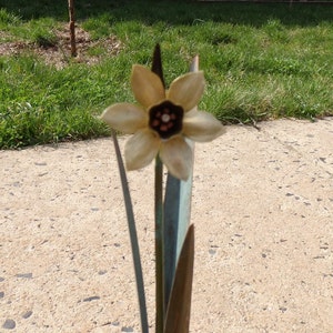 Single Mini Daffodil in Forged Brass and Copper image 1