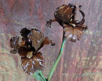 Forged Copper, Oxidized to Milk Chocolate Brown, Double Mounted Bearded Iris