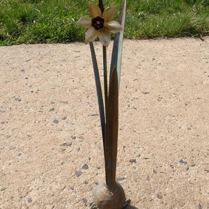 Single Mini Daffodil in Forged Brass and Copper image 5