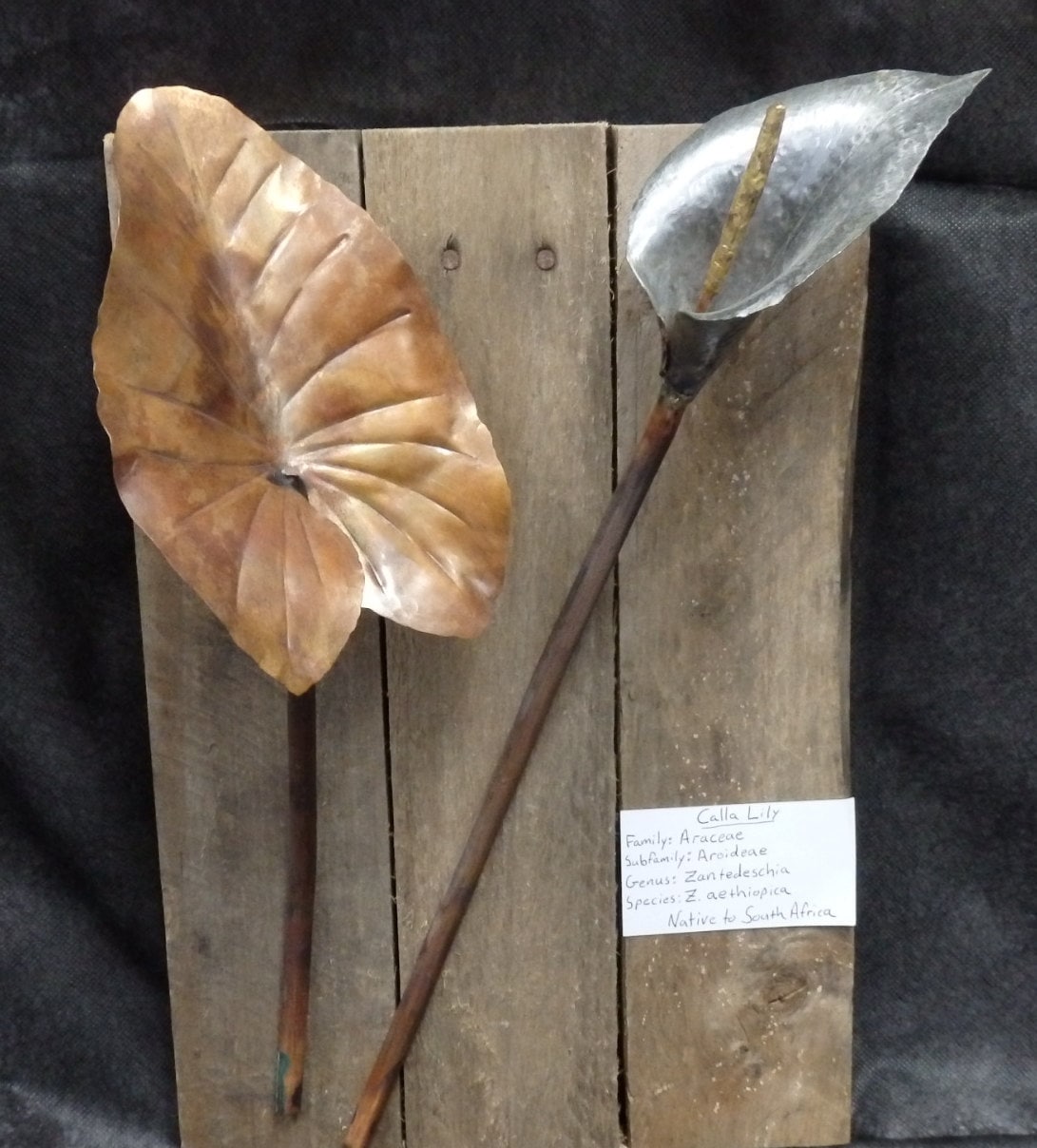 Wood Mounted Calla Lily in Steel metal Wall Art metal Flower Sculpture Etsy