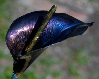 Forged Flame Blued Steel Calla Lily