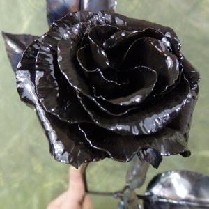 My Gothic Valentine Black Rose