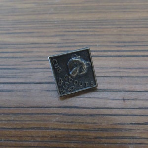 May include: A silver metal pin with the words "CUB SCOUTS BSA" and a bear cub image.