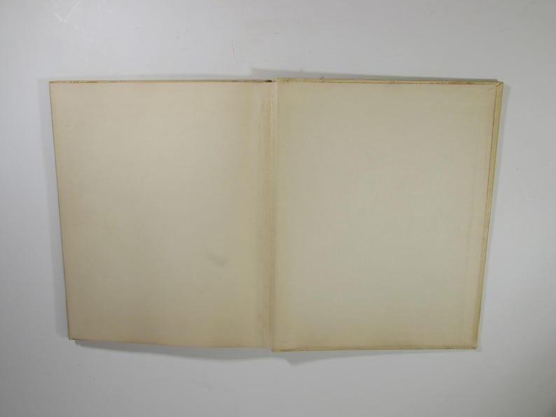 May include: A blank, white book with a cream-colored spine. The book is open to a blank page.