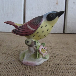 Bird Figurine, Warbler Bone China Bird Figurine, Vintage Royal Adderley Magnolia Warbler, Royal Adderley Bird Figurines, Royal Adderley