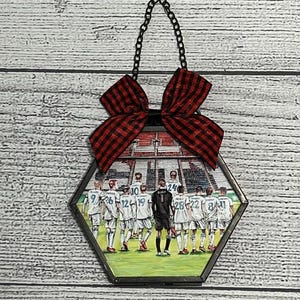 St  Louis City SC Team Ornament