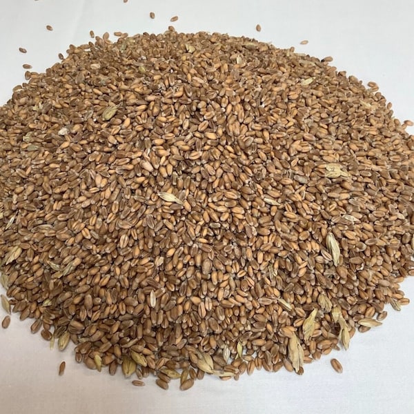 British Whole Wheat Grain.For Doorstop Filling/Weighting,Heat/Microwave Wheat Packs,Cold Freezer Packs, Crafts