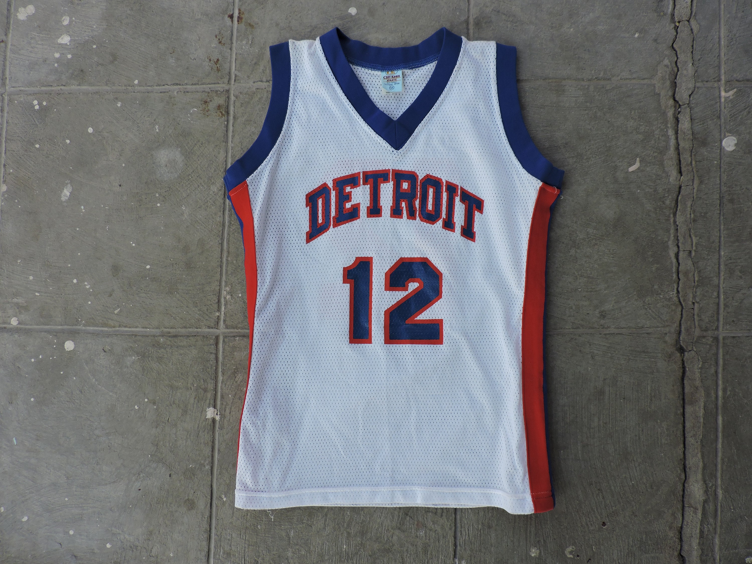 Men's Mitchell & Ness Dennis Rodman Blue Detroit Pistons Hardwood Classics  Stitch Name & Number T