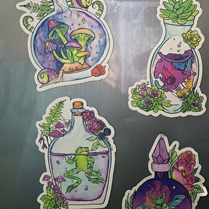 Toverdrankflessen (magneten, stickers, kever, tanden, kat, schedel, planten, vetplanten, pompoen, vleermuizen, kikker, paddenstoelen, cottagecore, heks, slak)