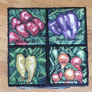May include: Four square tiles with painted images of different types of peppers. The tiles are black with a white border. The peppers are painted in realistic detail. The tiles are labeled with the names of the peppers: Mini Red Bell, Purple Beauty, Datil, and Chipotle.