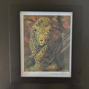 May include: A framed print of a leopard walking on a tree branch. The leopard is looking directly at the viewer. The print is signed "Andrew Bone".