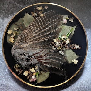 Pheasant Wing 12&quot; Gold