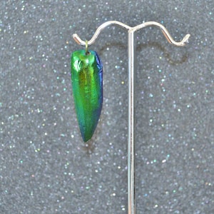 Puede incluir: Un colgante en forma de lágrima alargada, hecho de un ala de escarabajo iridiscente verde y azul, sobre un soporte plateado.