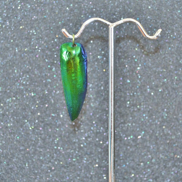 Niobium and Elytra Beetle Wing Pendant. Natural iridescent metallic green, ethically collected, non-plated, nickel free and hypoallergenic.
