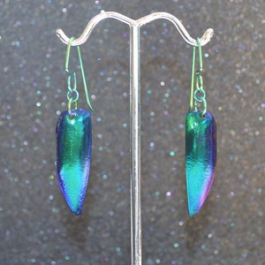 Puede incluir: Un par de pendientes de vidrio con forma de lágrima, en colores verde y azul iridiscentes. Los pendientes tienen un acabado metálico y están colgados de ganchos plateados.