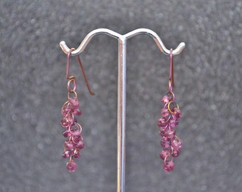 Niobium Fuzzy Faceted Rondelle Earrings in 4 Different Gems, You Choose!  Dainty hypoallergenic simple cascading bead dangles in 4 colors.