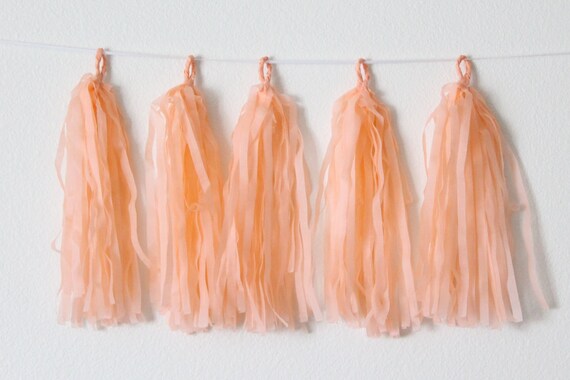 Tissue Paper Tassel Garland DIY KIT-Peach Party Decor-Country Fair Decorations-Peach Wedding Tassels-Tea party Garland-Peach Balloon Tassel Il_570xn