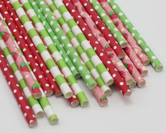 Strawberry Shortcake Birthday Party Decor Pink Green And Red
