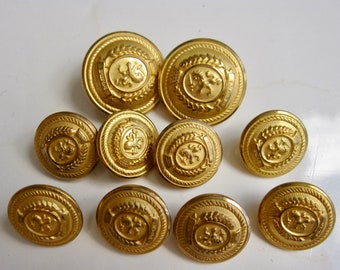 Tommy Hilfiger Gold Metal Replacement 10 Buttons Lion Crest for Navy Blazer