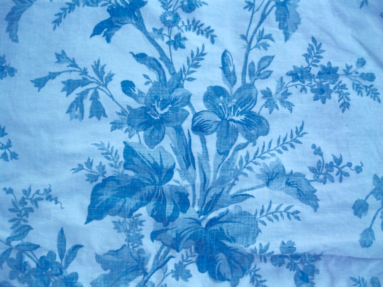 Ralph Lauren Blue & White Floral Toile Standard Pillowcases Etsy