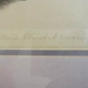 Signed Meta Pluckebaum Brother Sister Kitty Cat Colored Litho