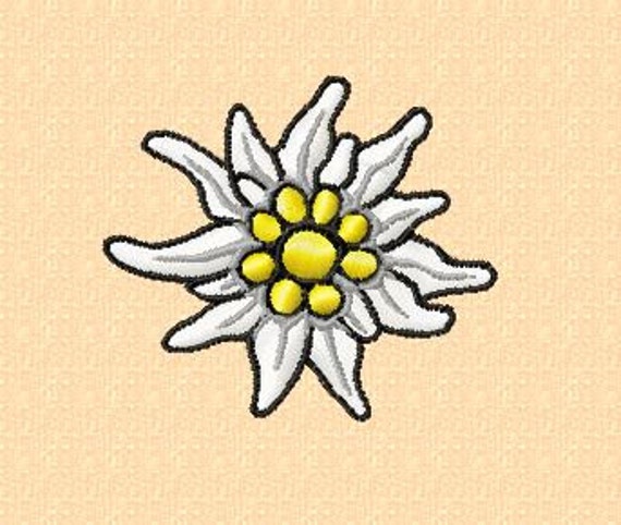Disegno Ricamo Edelweiss Flower4 In Due lie Etsy