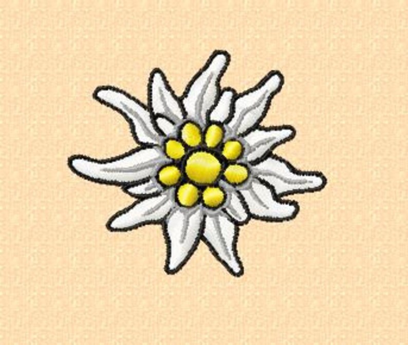 Embroidery pattern Edelweiss 5 in 2 sizes Etsy
