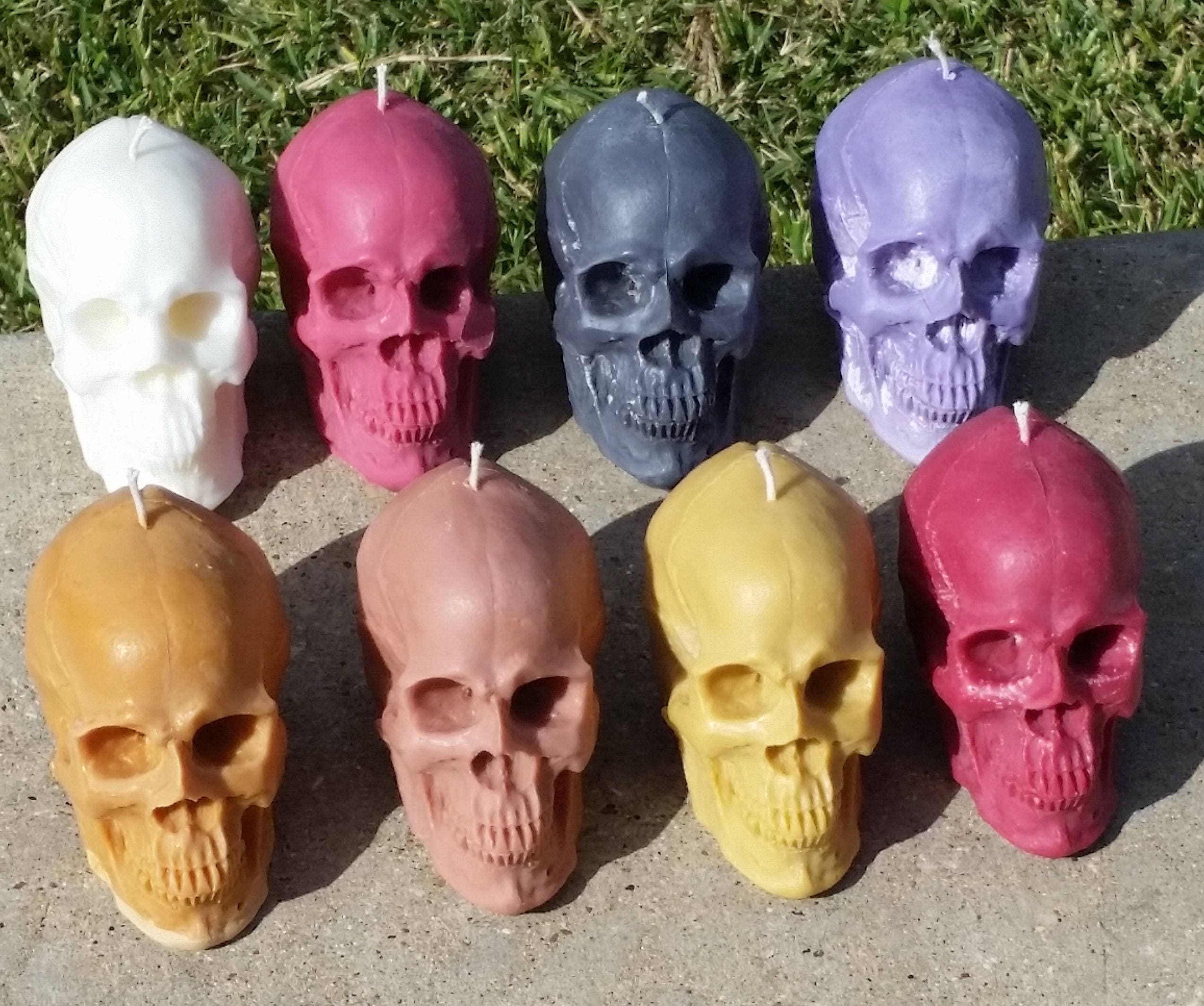 8 oz. Scented & unscented soy Skull candle Free domestic shipping