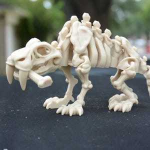 3D Printed Saber tooth Tiger