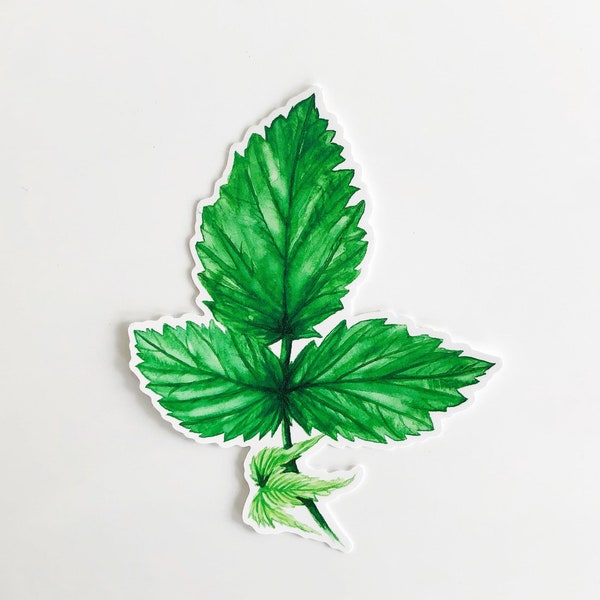 Foliage 3: Raspberry, Die Cut Vinyl Sticker, Leaf Sticker