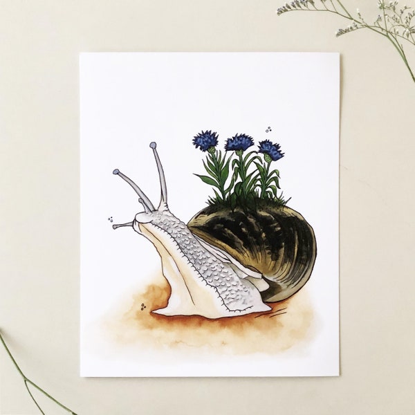 Snail in Bloom Print, 8"x10" Art Print, Watercolour, Kelly Dixon Art