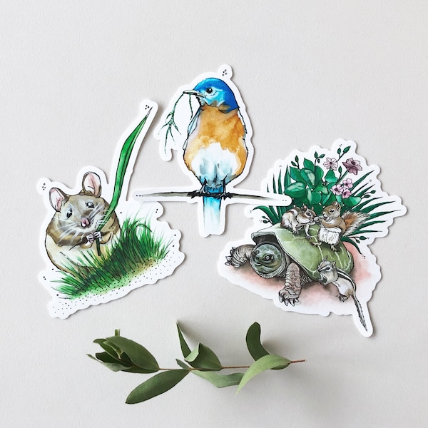 Set of 3 Stickers - Mouse, Blue Bird, Turtle + Squirrel - Die Cut Vinyl Stickers