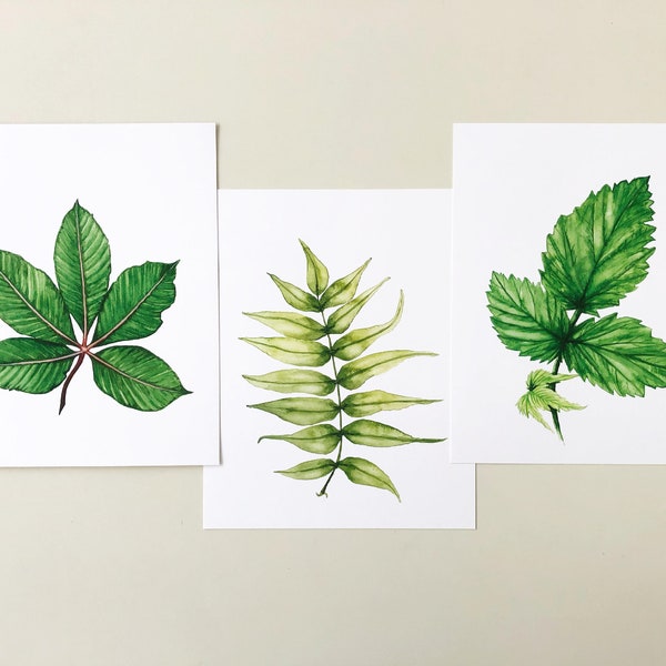 Foliage Print Set of 3, Bundle Deal, 8"x10", Art Prints, Watercolour, Kelly Dixon Art