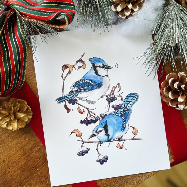 NEW! Blue Jay Print, 8"x10" Art Print, Watercolour, Birds, Kelly Dixon Art
