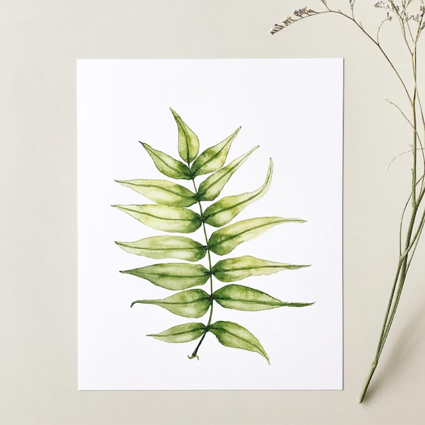 Foliage 1: Ash Print, 8"x10" Art Print, Watercolour, Kelly Dixon Art