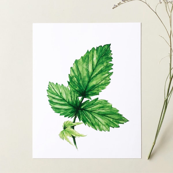 Foliage 3: Raspberry Print, 8"x10" Art Print, Watercolour, Kelly Dixon Art