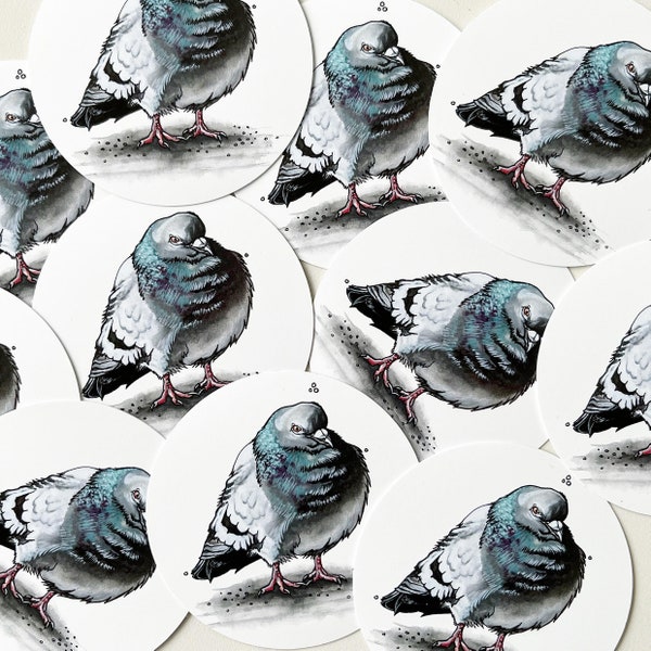 Pigeon - Die Cut Vinyl Sticker